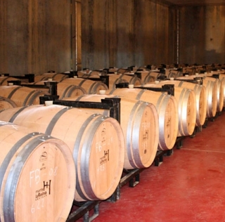 Sala de barricas.jpg